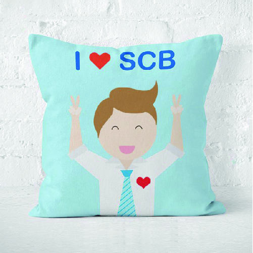 Gối Tựa Cổ , Tựa Lưng 13