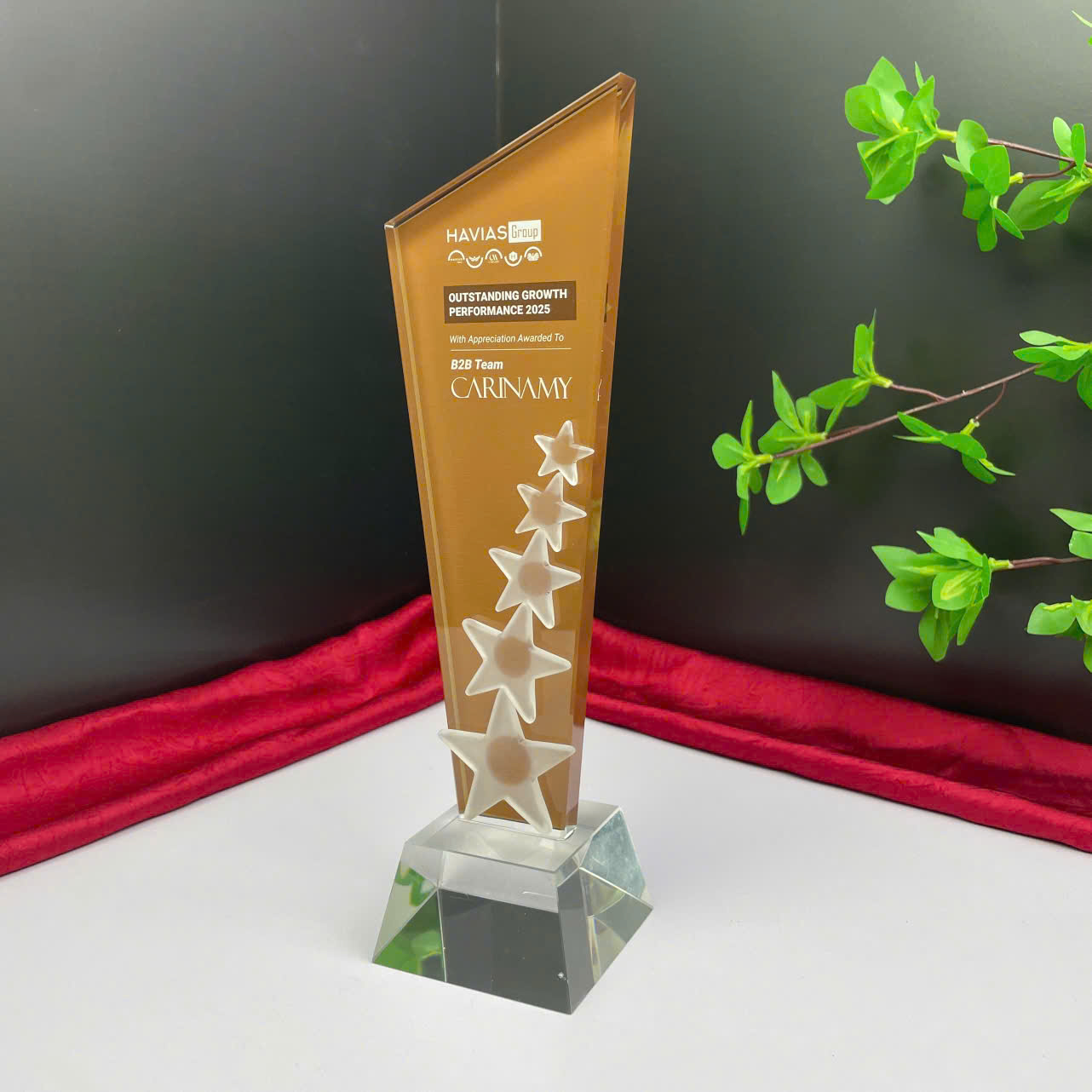 Kỷ Niệm Chương 41