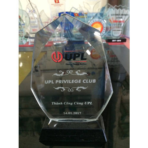 Kỷ niệm chương giá rẻ HCM | Biểu tượng vinh danh đầy tự hào