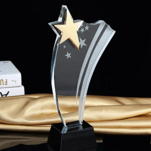 Cung cấp quà tặng cúp pha lê HCM nhiều mẫu mã mới - độc - lạ